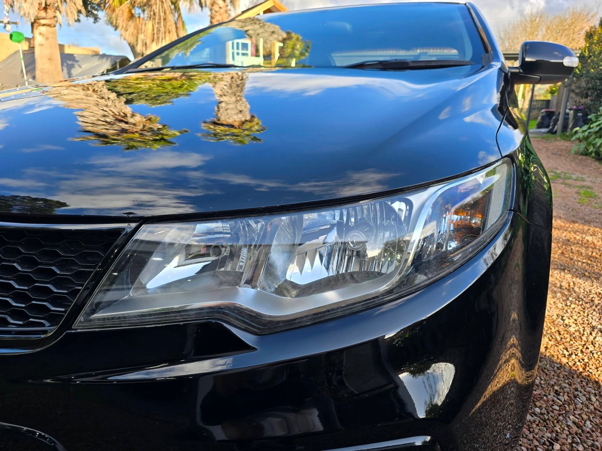 Paint Correction